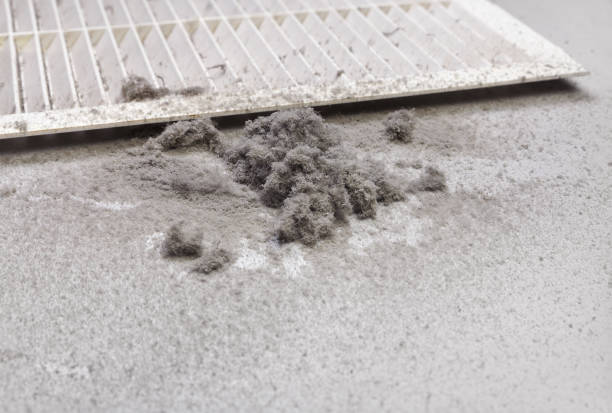 Best Air Duct Cleaning Company Near Me  in Croydon, PA